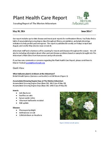 Plant Health Care Report, Issue 2014.7