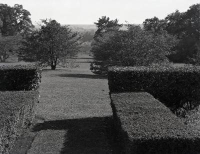 Looking south at hedges and trees from Morton residence sunroom