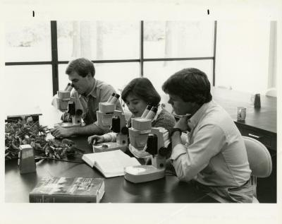 Peter Linsner, Marilyn Halperin, and Kris Bachtell studying specimens under microscopes in the Botany Lab