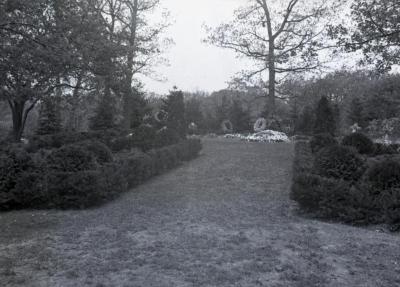 Mowed path and hedge leading to Joy Morton burial plot