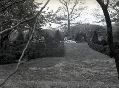 Joy Morton burial plot viewed through branches