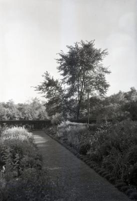 Stone path in Morton residence garden