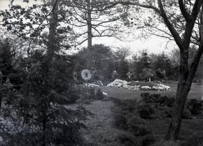 Joy Morton burial plot viewed through two trees