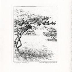 Notecards: Views of the Arboretum