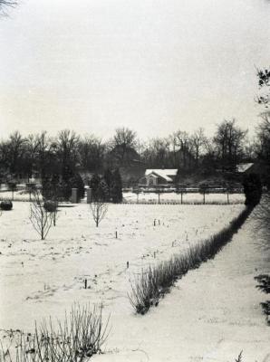 Morton residence garden in winter with small building
