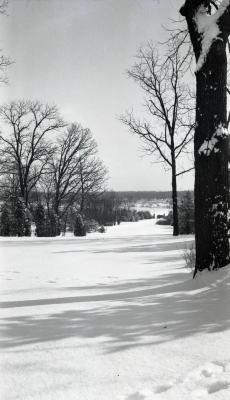 Looking east from Morton residence to entrance gates in winter, Thornhill Drive toward Park Blvd.