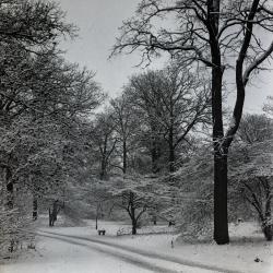 Forest Road in winter, probably near Buckeye Collection