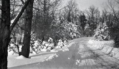 Morton residence road curving to right in winter
