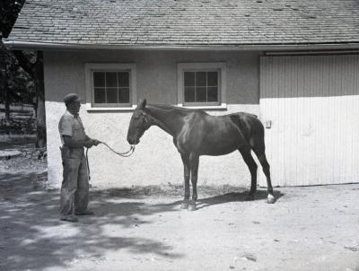 Sterling Morton's horse Diana with male trainer