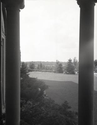 View between columns of landscape at Mark Morton residence
