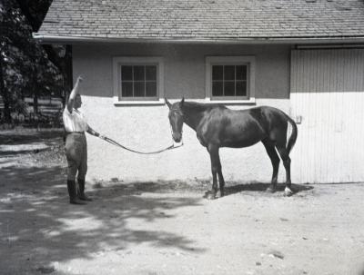 Sterling Morton's horse Diana with female trainer's arm raised