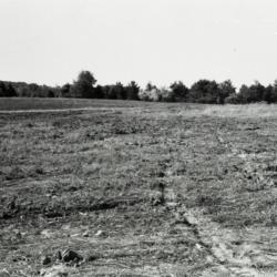 Empty field with line of trees in the distance