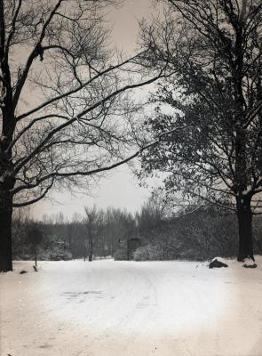 Arboretum East Gate Entrance in winter with stop sign on left