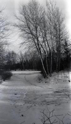 Lake Road around Lake Marmo in winter