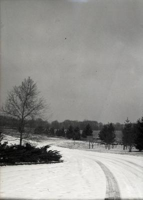 Looking north from inside East Gate in winter, sign on right side of road