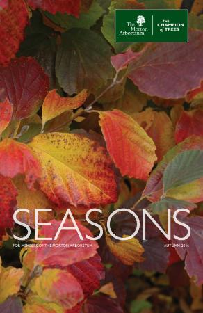 Seasons: Autumn 2016