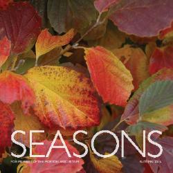 Seasons: Autumn 2016