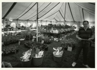 Members' Cooperative Research Program, Mike Spravka standing next to plants in tent