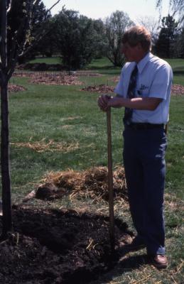Dr. Tom Green standing next to newly planted tree at Arborfest