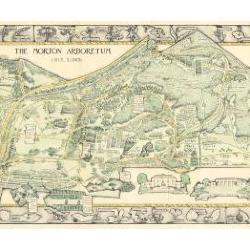 The Morton Arboretum Visitors Map and Guide