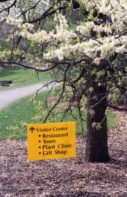  Arbor Week directional sign to Visitor Center under tree in bloom