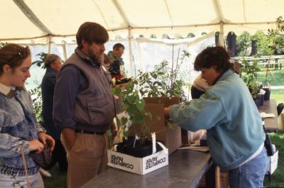 Doris Taylor assisting visitors with plant purchase at Arbor Week surplus plant sale
