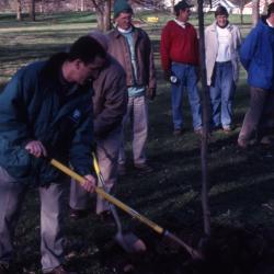 Scott Moberg shoveling soil over newly planted tree at Arbor Day employee tree planting