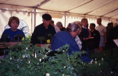 Customers looking at plants during Arbor Day Plant Sale