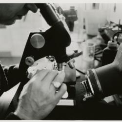 Closeup of man using microscope in laboratory