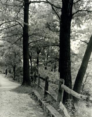 Woodland Road railing