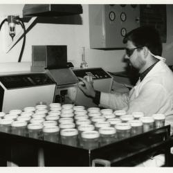 Salt study, Pat Kelsey with samples in the lab