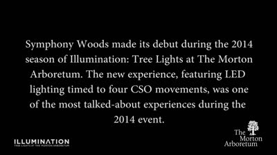 Illumination, Winter 2015-2016, Chicago Symphony Orchestra Symphony Woods - short