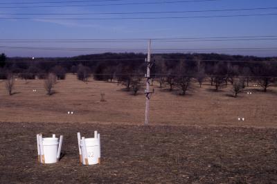 Salt Study, two white buckets in open field on grounds