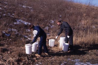 Salt Study, Rose Reid and Rick Hootman placing white buckets on ground