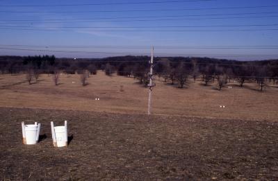 Salt Study, two white buckets in open field on grounds