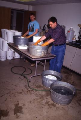 Salt Study, Pat Kelsey and Rick Hootman washing buckets in research lab