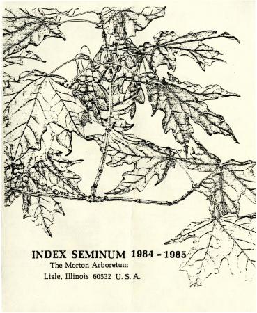 Index Seminum 1984-1985