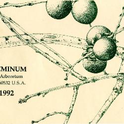 Index Seminum 1991-1992