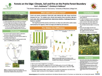 Ecosystem model simulations of effects of soil and fire on prairie-forest ecosystem states
