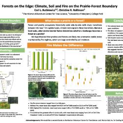 Ecosystem model simulations of effects of soil and fire on prairie-forest ecosystem states
