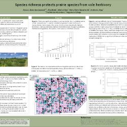 Species richness protects prairie species from vole herbivory
