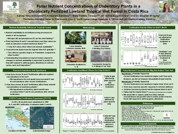 Foliar Nutrient Concentrations of Understory Plants in a Chronically Fertilized Lowland Tropical Wet Forest in Costa Rica