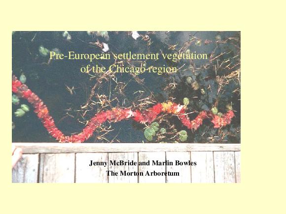 Pre-European Settlement Vegetation of the Chicago region
