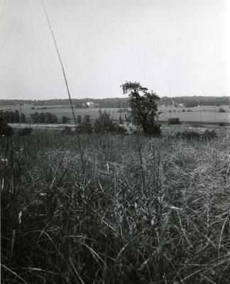 View from prairie remnant on Meadow Road looking northwest over Cutten land
