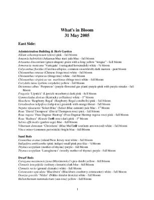 What's in Bloom: May 31, 2005