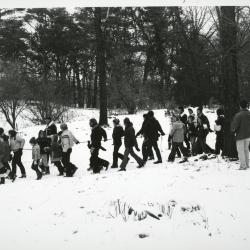 Yule Log Hunt - line of walkers with children being pulled on log in the East Side of the Arboretum