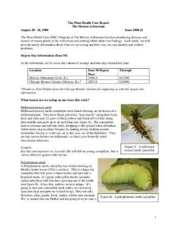 Plant Health Care Report: Issue 2000.21