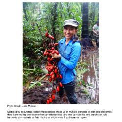 Planted: Finding Your Roots in STEM Careers: EP6: Dr. Chelsie Romulo Photo Profile