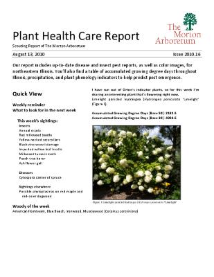 Plant Health Care Report: Issue 2010.16