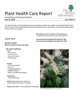 Plant Health Care Report: Issue 2010.11